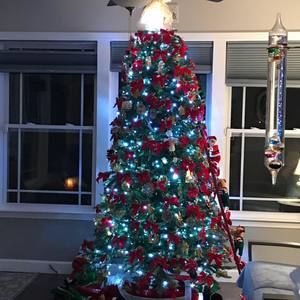 Meet your Posher, Jane